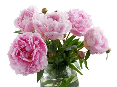 Bir demet pembe şakayık çiçeği yakın 