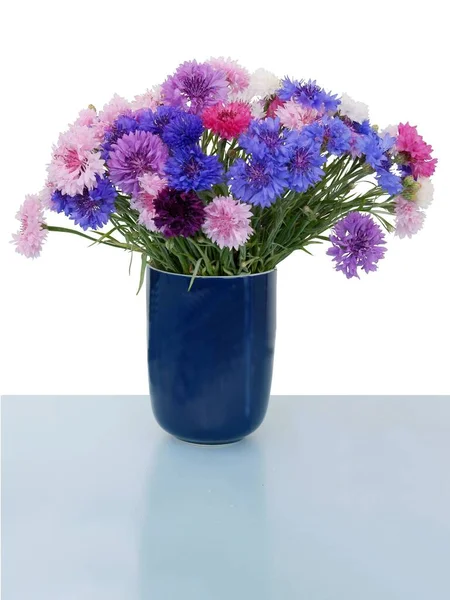 Bouquet Multicolor Cornflowers Close — Stock Photo, Image
