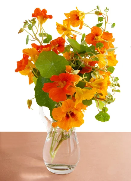 Bonitas Flores Amarillas Anaranjadas Nasturcio Cerca — Foto de Stock