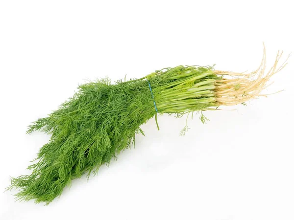 Grüner Dill Als Kräutergewürz Und Gemüse — Stockfoto