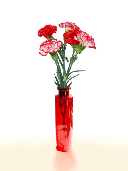 Red White Carnations Flowers Glass Vase — Stock Photo, Image