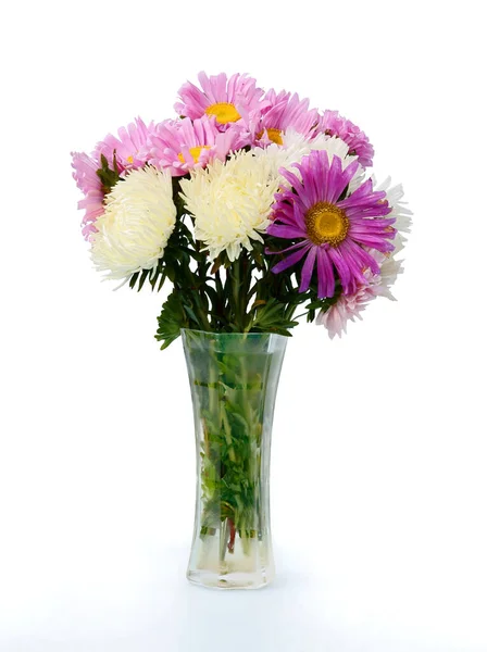 Posy Wielokolorowe Astry Kwiaty Zbliżenie — Zdjęcie stockowe