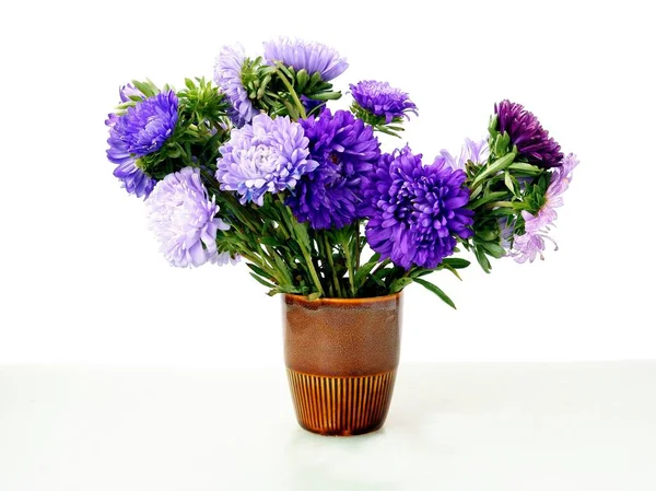 Posy Wielokolorowe Astry Kwiaty Zbliżenie — Zdjęcie stockowe