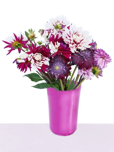 Flores Multicoloridas Dália Vaso Roxo — Fotografia de Stock
