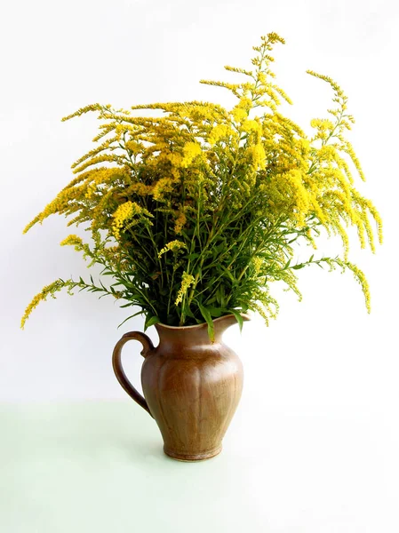 Flores Amarelas Planta Selvagem Solidago Canadensis — Fotografia de Stock