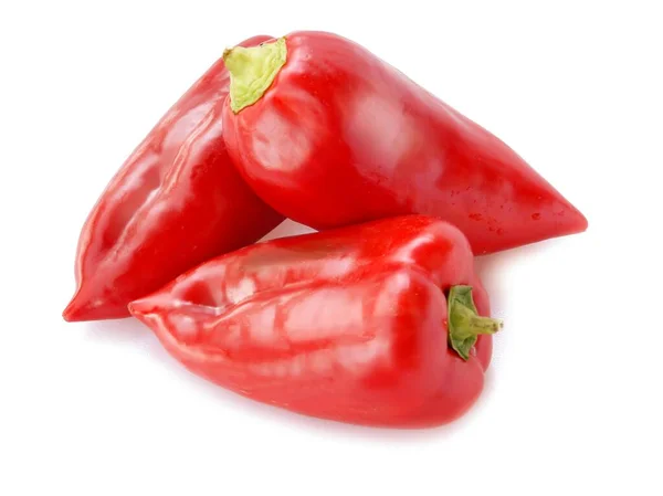 Multicolor Peppers Eating Cooking Close — Stock Photo, Image