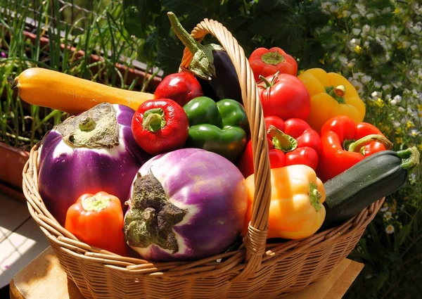 Çok Renkli Biberler Lezzetli Salata Yemek Pişirmek Için Sağlıklı Sebzeler — Stok fotoğraf