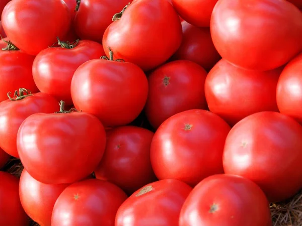 Vários Tomates Saborosos Vermelhos Salada Cozinha — Fotografia de Stock