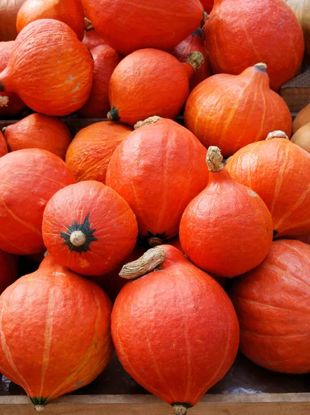 Orangene Kürbisse Als Gesundes Essen Aus Nächster Nähe — Stockfoto