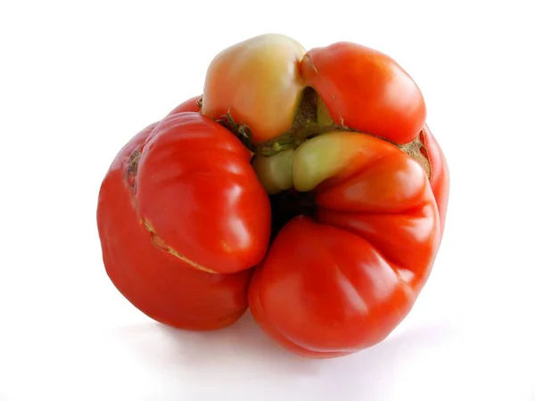 Fanny Czerwone Pomidory Smacznej Sałatki Bliska — Zdjęcie stockowe
