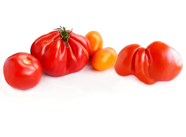 Κόκκινο Και Κίτρινο Διάφορες Ντομάτες Από Κοντά — Φωτογραφία Αρχείου