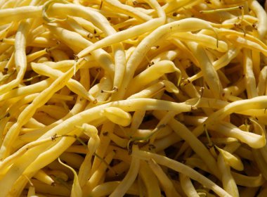 Sarı bezelye yaprağı kabukları. Yaklaş.