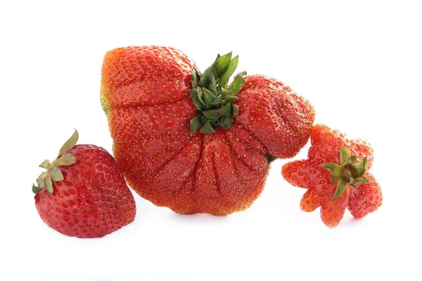 Dehydrated Dry Strawberries Isolated On White Background Slice Bio Stock Photo