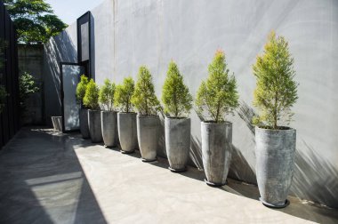 Ağaç pot tasarımını dış dekorasyon için