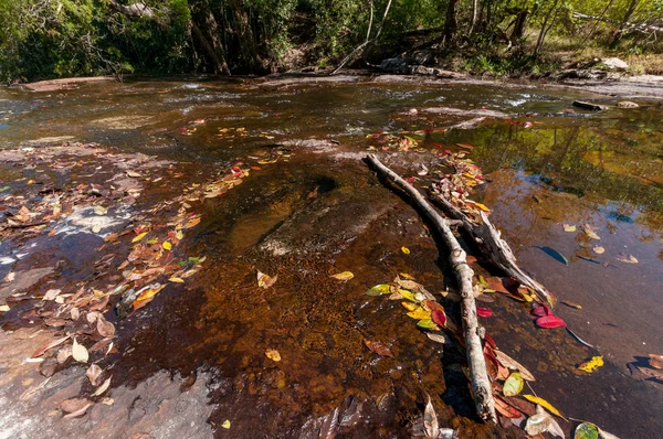 Phu Kradueng Ulusal Parkı 'nda şelale göleti