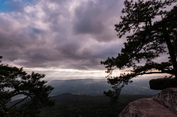 Landscape Phu Kradueng National Park — Stock Photo, Image