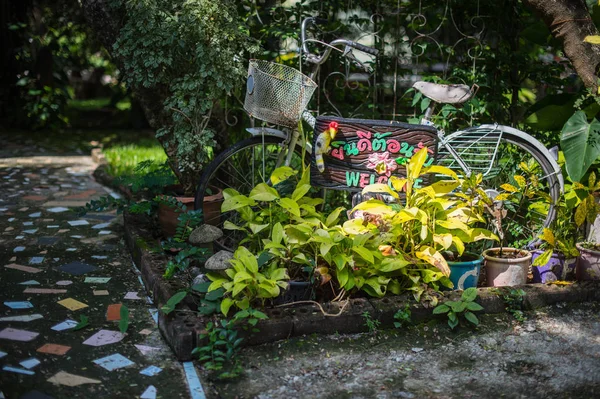 Gros Plan Décoration Jardin — Photo