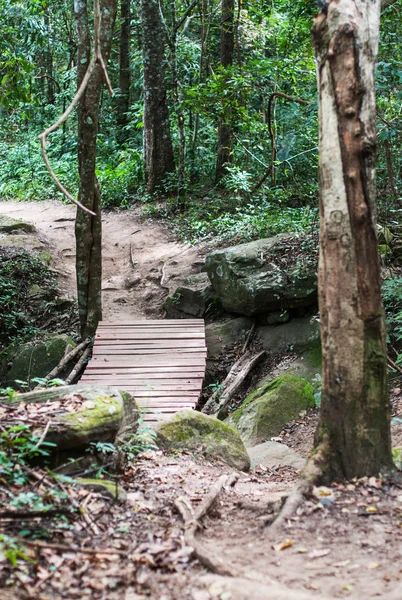 Wooden Bridge Path Forest Closeup — Stock Photo, Image