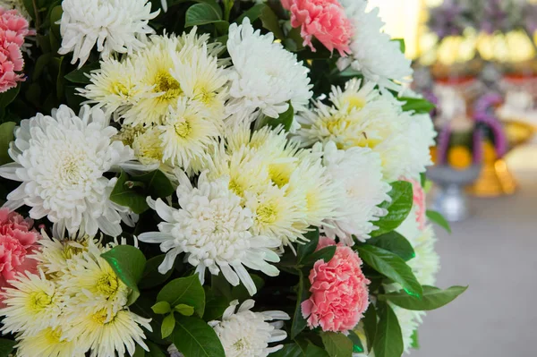 Closeup Colourful Flower — Stock Photo, Image