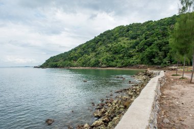 Dağlı deniz ve kumsal manzarası