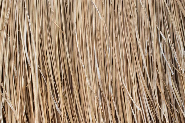 Pattern Background Dry Thatched Grass — Stock Photo, Image