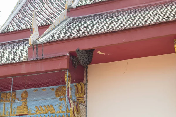 寺院の軒先に蜂の巣や蜂の巣の閉鎖 — ストック写真
