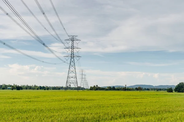 Cable de enlace eléctrico con paisaje de arroz de granja — Foto de Stock