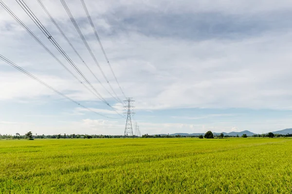 Cable de enlace eléctrico con paisaje de arroz de granja — Foto de Stock