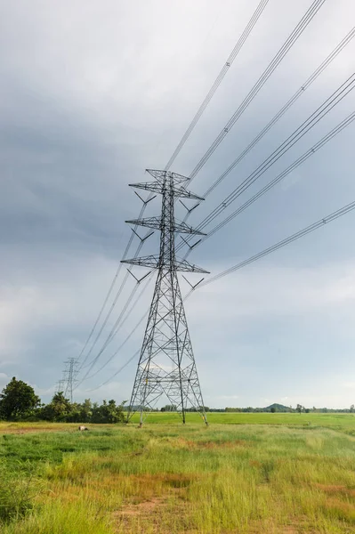 Cable de enlace eléctrico con paisaje de arroz de granja — Foto de Stock