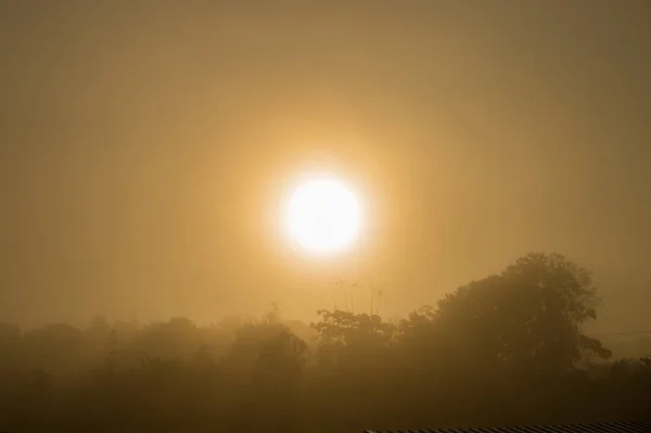 Salida del sol en un primer plano brumoso — Foto de Stock