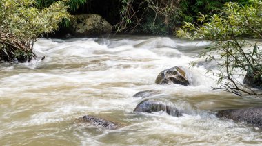Manzara Haew Suwat Şelalesi, Khao Yai Milli Parkı, Thail