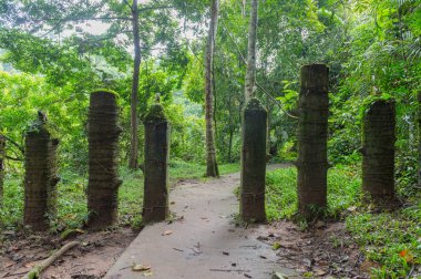 Bahçede sütunlu patika
