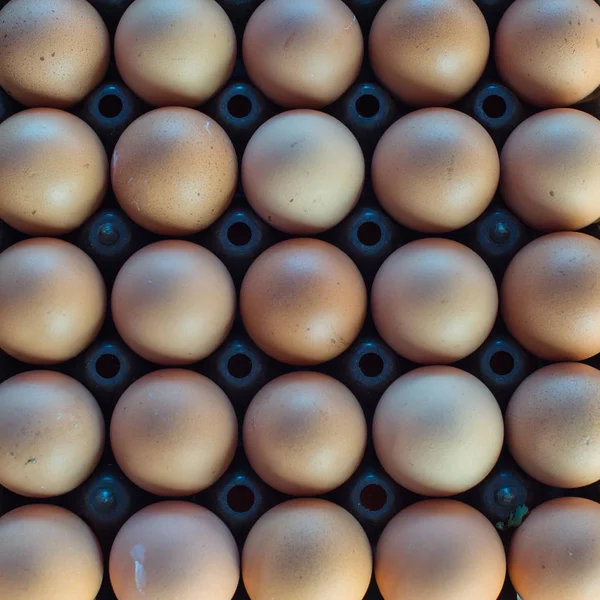 Detailní záběr kuřecího vejce na pozadí — Stock fotografie