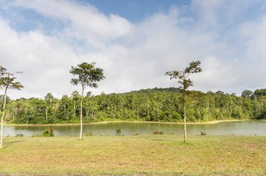 mavi bulutlar gökyüzü ile parkta göl