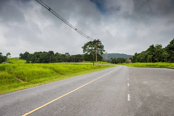 Asphalt road with green field forest — Stock Photo, Image