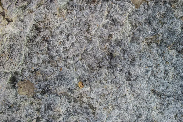 Texture background of the rock — Stock Photo, Image