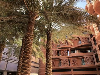 Masdar City, Abu Dabi, Bae - Nisan, 2019