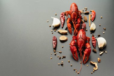 Kerevit kırmızısı, siyah arka planda kızarması için otlu bebek ıstakozu.