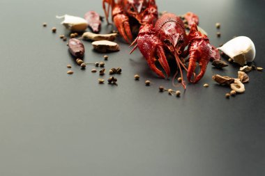 Kerevit kırmızısı, siyah arka planda kızarması için otlu bebek ıstakozu.