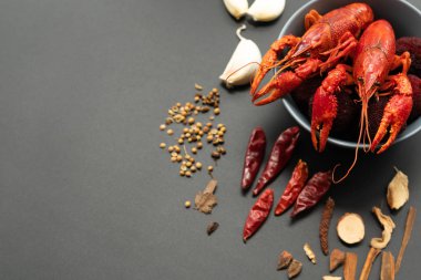 Kerevit kırmızısı, siyah arka planda kızarması için otlu bebek ıstakozu.