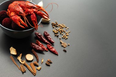 Kerevit kırmızısı, siyah arka planda kızarması için otlu bebek ıstakozu.