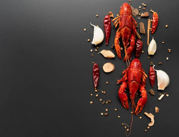 Kerevit kırmızısı, siyah arka planda kızarması için otlu bebek ıstakozu.