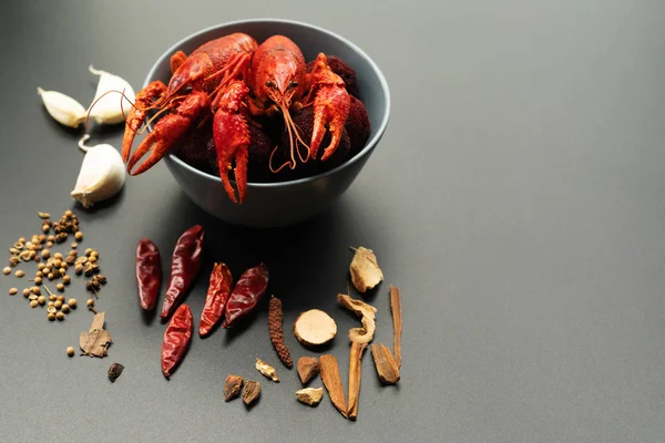 Kerevit kırmızısı, siyah arka planda kızarması için otlu bebek ıstakozu.