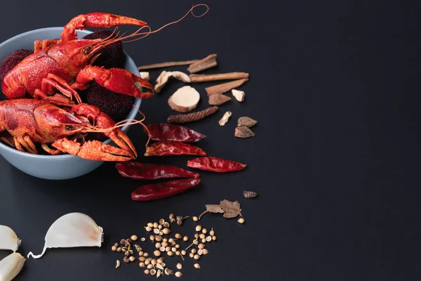 Kerevit kırmızısı, siyah arka planda kızarması için otlu bebek ıstakozu.