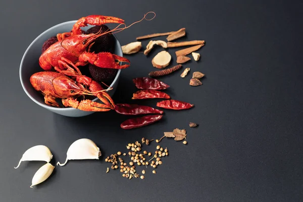 Kerevit kırmızısı, siyah arka planda kızarması için otlu bebek ıstakozu.