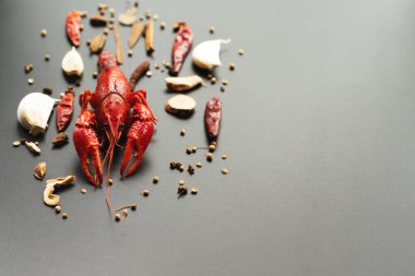 Kerevit kırmızısı, siyah arka planda kızarması için otlu bebek ıstakozu.