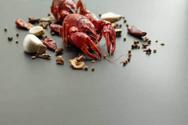 Kerevit kırmızısı, siyah arka planda kızarması için otlu bebek ıstakozu.