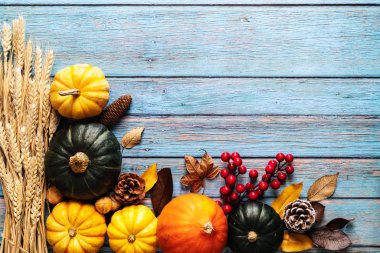 Mutlu Şükran günü kabak ve fındık mavi ahşap arka plan üzerinde