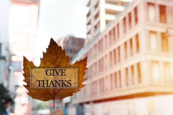 Happy Thanksgiving Day Maple Leave Text — Stock Photo, Image