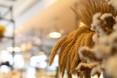 Parlak iç evi zemin üzerine tencerede Kuru çiçekler